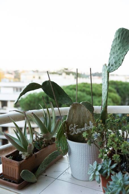 Casa 'Ttaja - Mediterranean Eco-Apartment Rome Exterior photo